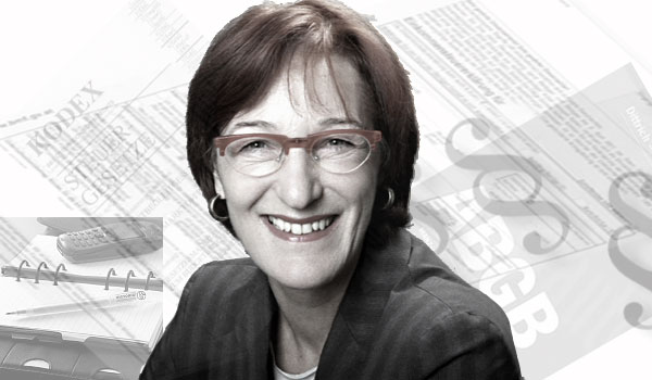 Dr.Hauner-Schöpf,Steuerberater,Buchprüfung,Erstberatung,Gründungsberatung in Österreich,Oberösterreich,Linz